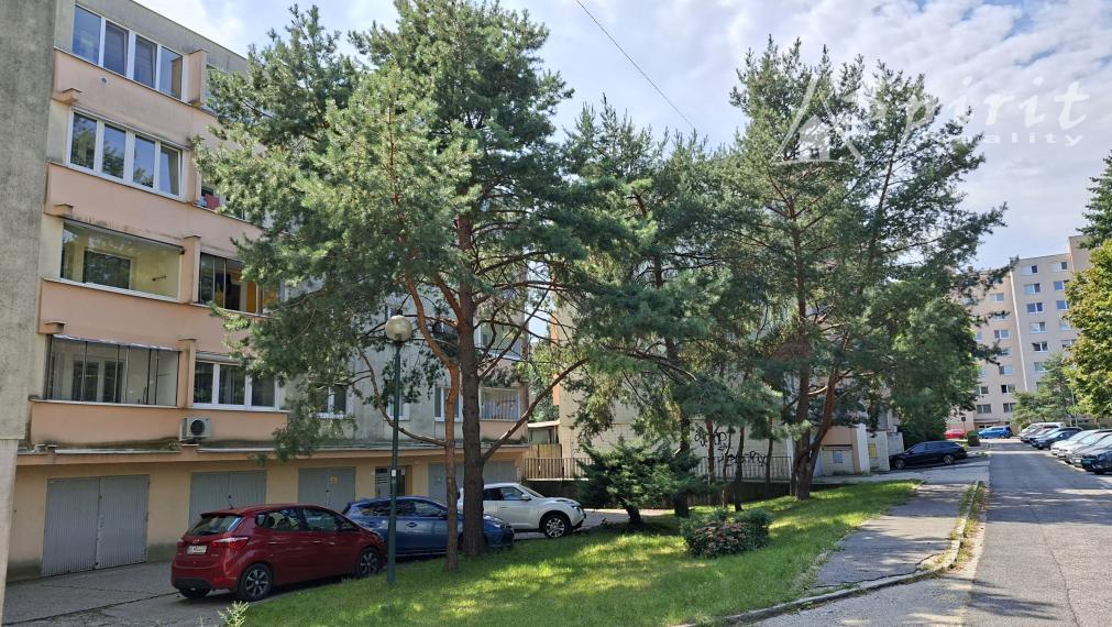 Na prenájom 3 izb. byt v Dúbravke, voľný od 01.07.