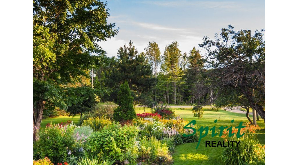 EXKLUZÍVNE IBA U NÁS, NA PREDAJ LUKRATÍVNE POZEMKY v obci VEĽKÉ ÚĹANY