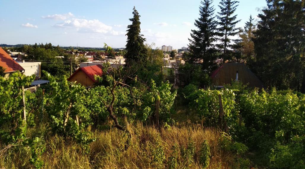 Ponúkame na pre PREDAJ záhradný domček na peknom pozemku o výmere 860m2