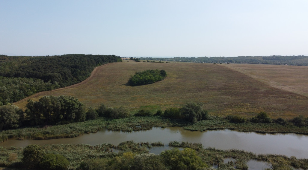 NA PREDAJ - INVESTIČNÝ POZEMOK - orná pôda