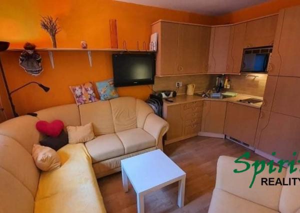 Ponúkame na prenájom priestranný 1 izbový byt na Miletičovej