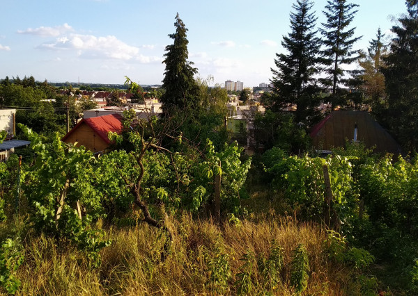 Ponúkame na pre PREDAJ záhradný domček na peknom pozemku o výmere 860m2