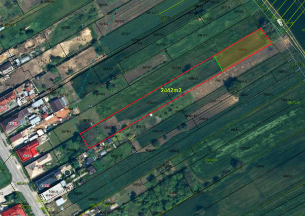 Na predaj priestranná záhrada – Močenok, okr. Šaľa – 2442 m² za výhodnú cenu!