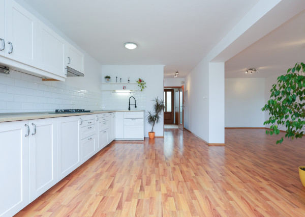 4izb. Rodinný dom s veľkorysým pozemkom 1 081 m², garážou a záhradou – Janovce pri Galante